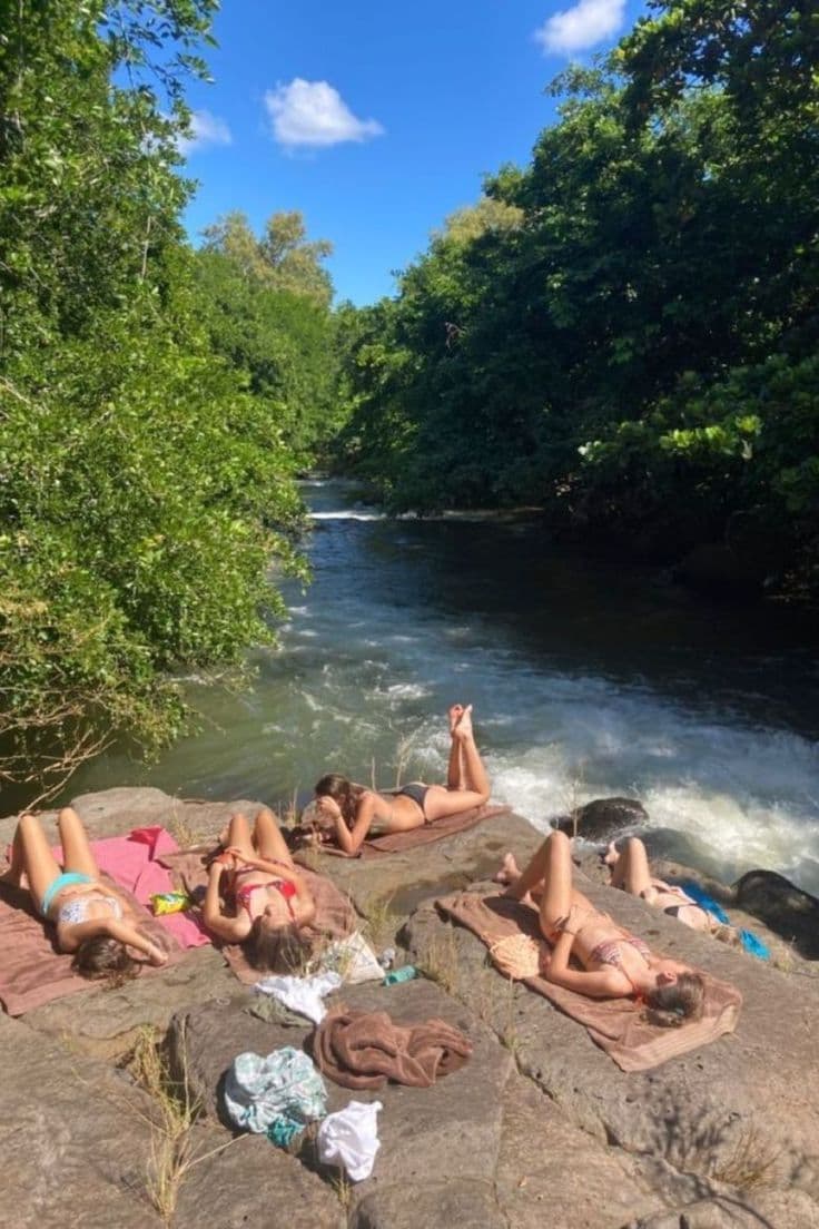 /nature.jpg